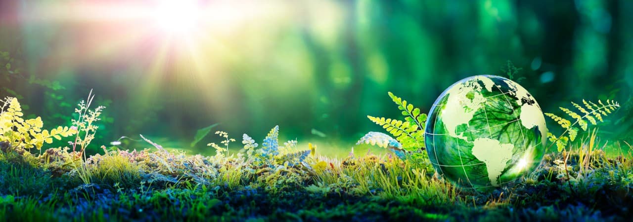 Euroclad and sustainability