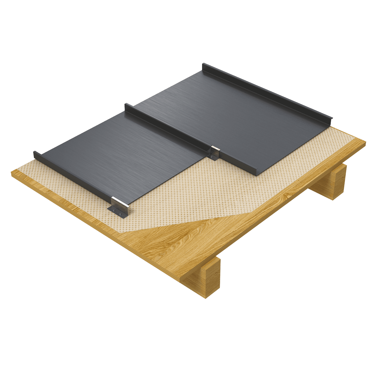 Vieo Cold Roof system render