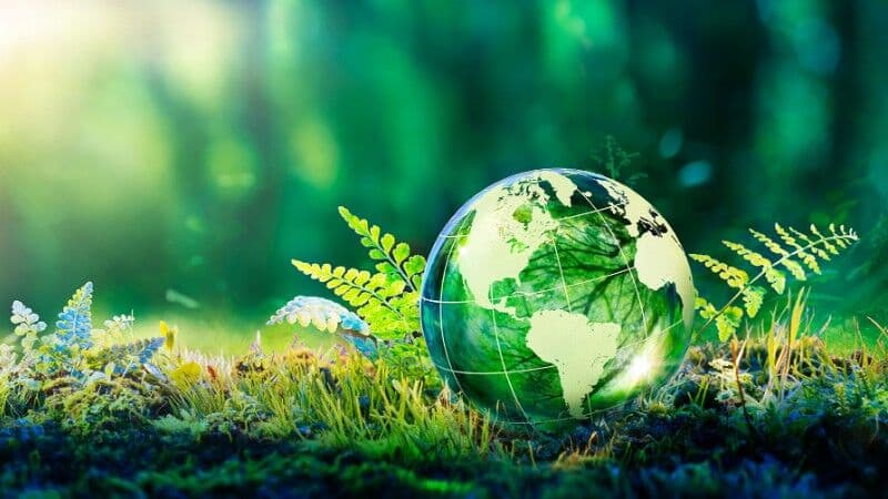 Sustainability